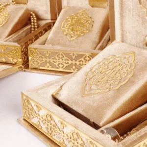 Quran Translation Mastery Class (Tafseer)