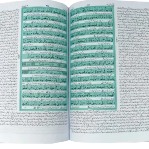Quran Translation Mastery Class (Tafseer)