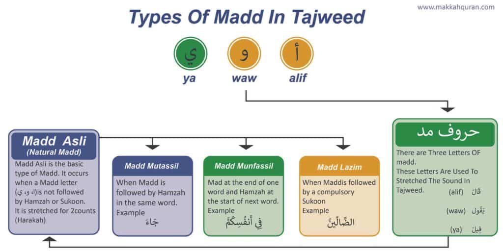types of madd in tajweed